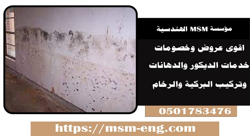علاج الرطوبه في ابو ظبي