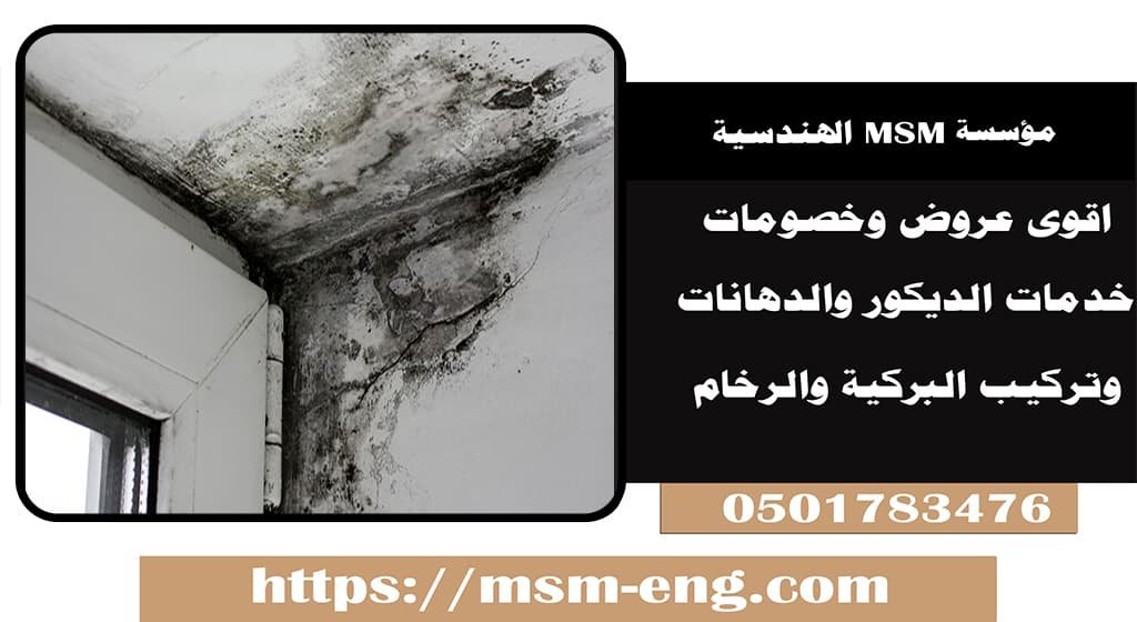 افضل شركة لعلاج الرطوبه في ابو ظبي