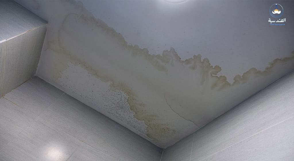 علاج الرطوبة في السقف